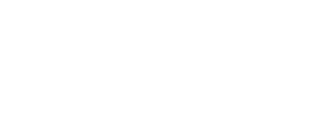 Csi Award Logo 2